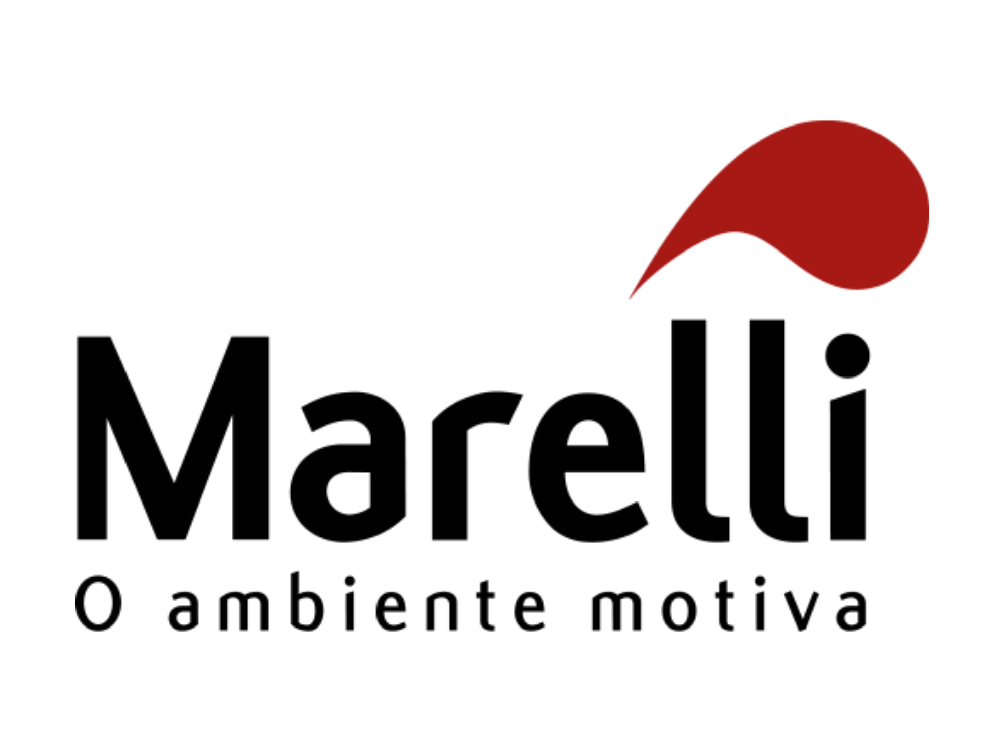 LOGOS FUNDO BRANCO - 20 X 15CM - 20